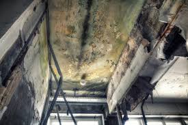 Best Residential Mold Inspection & Testing in Westmont, IL